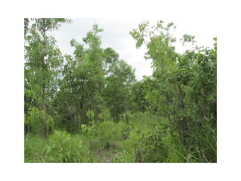 100. Wyatt Road, Marrakai NT 0822