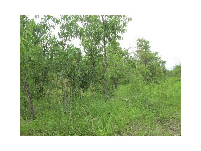 100. Wyatt Road, Marrakai NT 0822