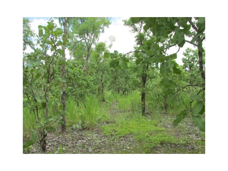 100. Wyatt Road, Marrakai NT 0822
