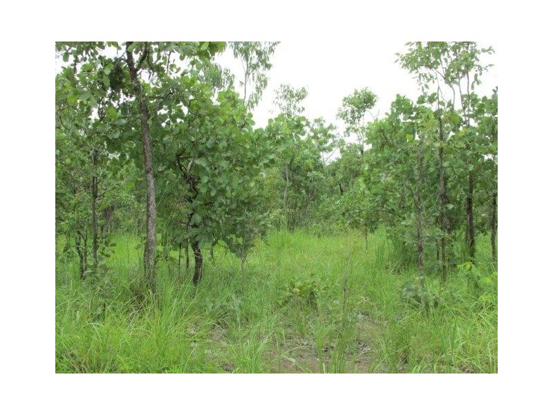100. Wyatt Road, Marrakai NT 0822