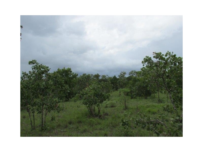 100. Wyatt Road, Marrakai NT 0822