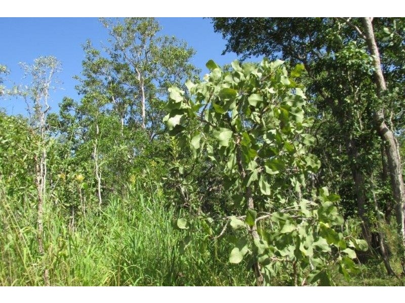 100. Wyatt Road, Marrakai NT 0822