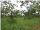 100. Wyatt Road, Marrakai NT 0822
