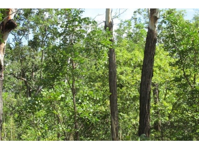 100. Wyatt Road, Marrakai NT 0822