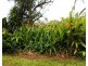 290a Darwin River Road, Darwin River NT 0841