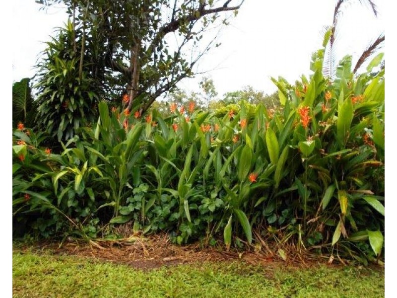 290a Darwin River Road, Darwin River NT 0841