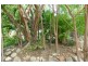 1315 Leonino Road, Darwin River NT 0841
