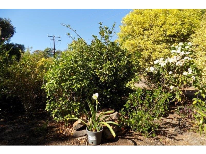 33 Hatt Street, Adelaide River NT 0846