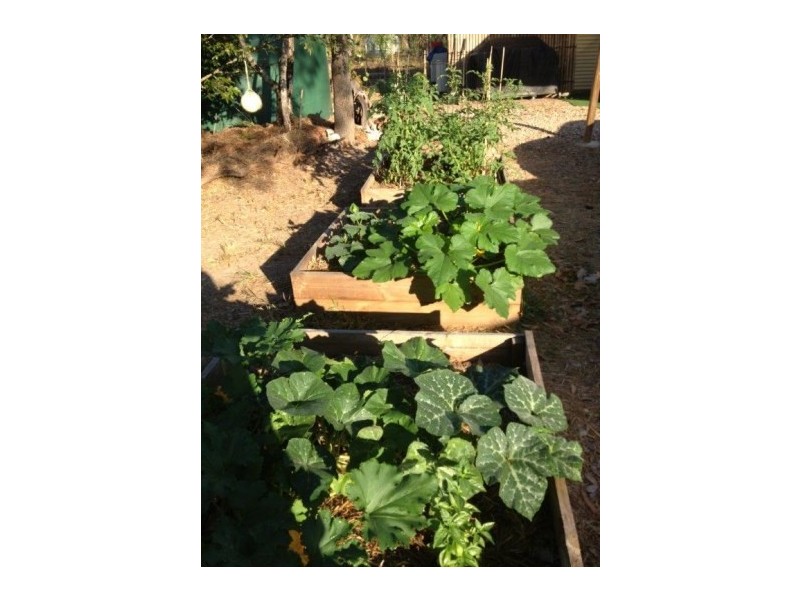 47 Collett Street, Southport NT 0822