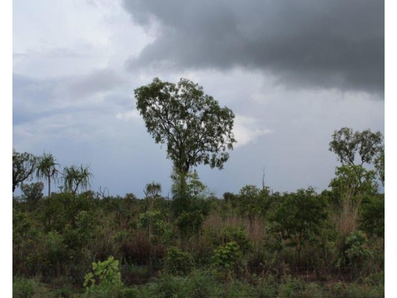 52 Nolan Road, Batchelor NT 0845