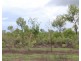 52 Nolan Road, Batchelor NT 0845
