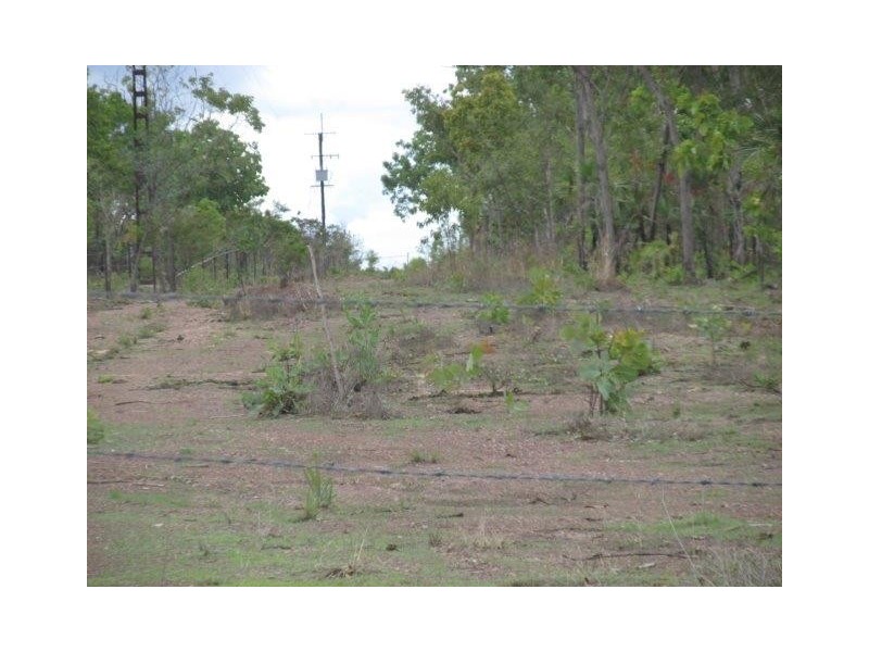 Batchelor NT 0845