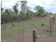 Batchelor NT 0845