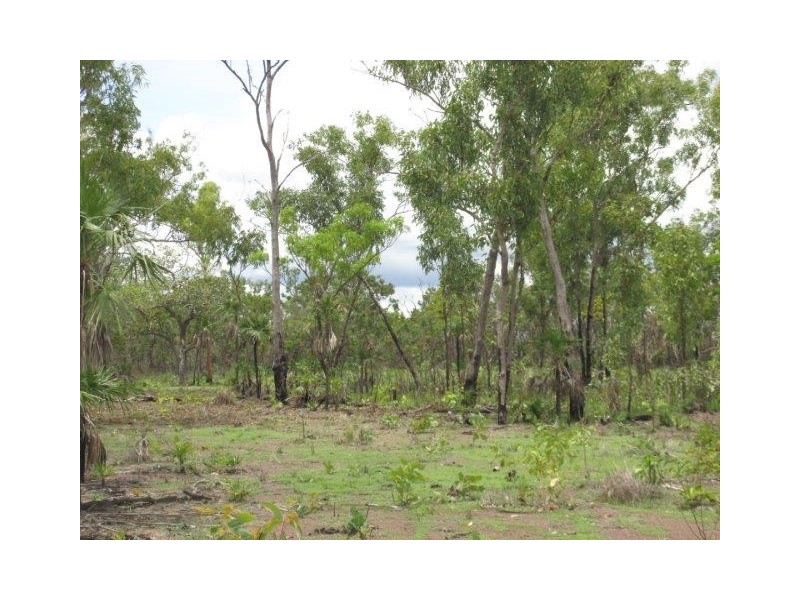 Batchelor NT 0845