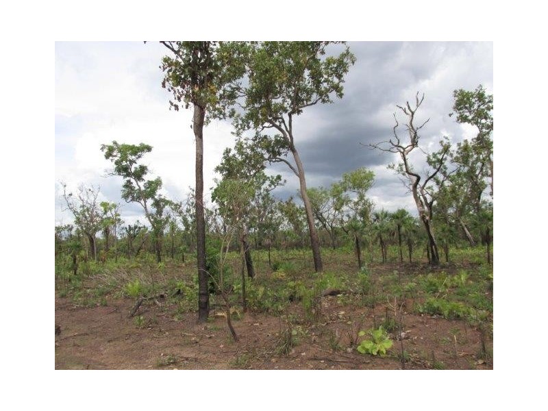 Batchelor NT 0845