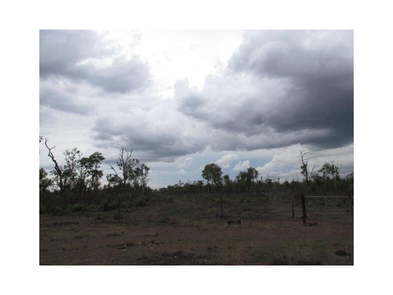 Batchelor NT 0845
