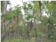 Batchelor NT 0845