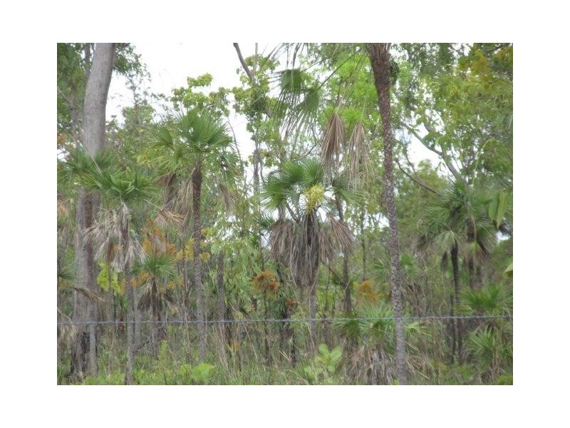 Batchelor NT 0845