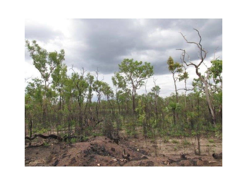 Batchelor NT 0845