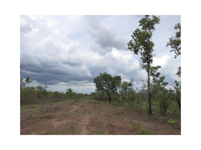 Batchelor NT 0845