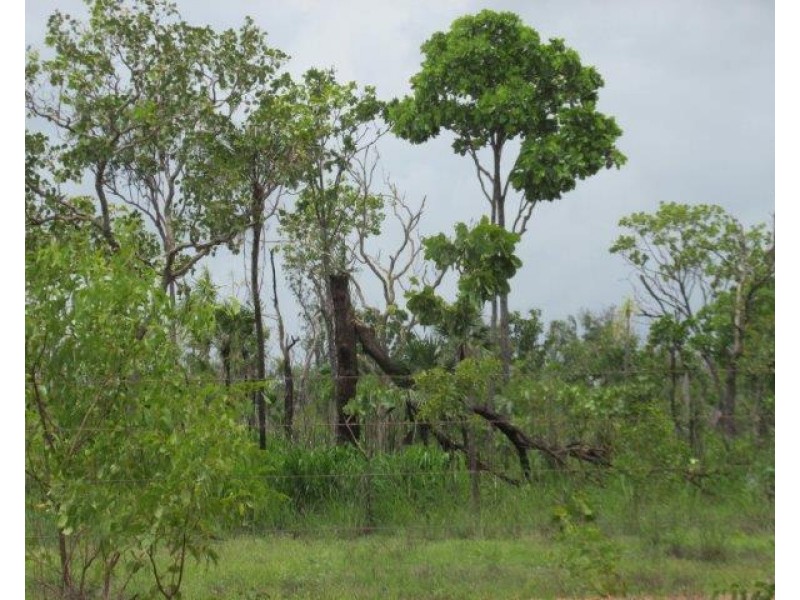 32 Nolan Road, Batchelor NT 0845