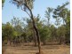 1050. Leonino Road, Darwin River NT 0841