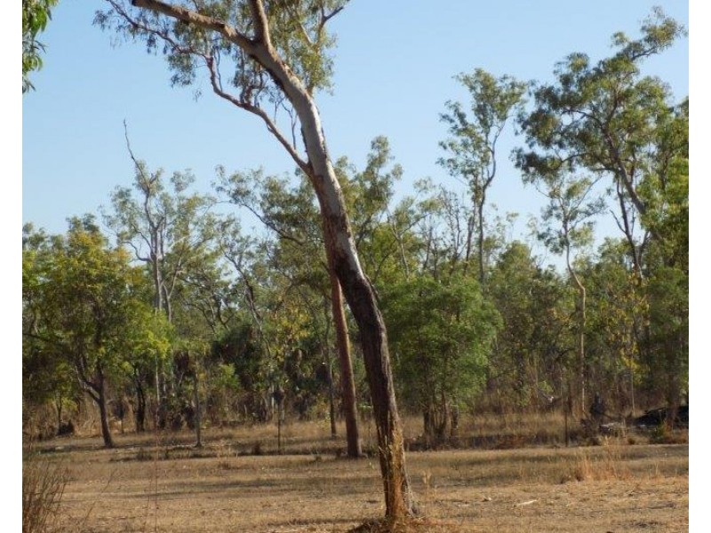 1050. Leonino Road, Darwin River NT 0841