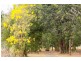 Acacia Hills NT 0822
