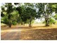 Acacia Hills NT 0822