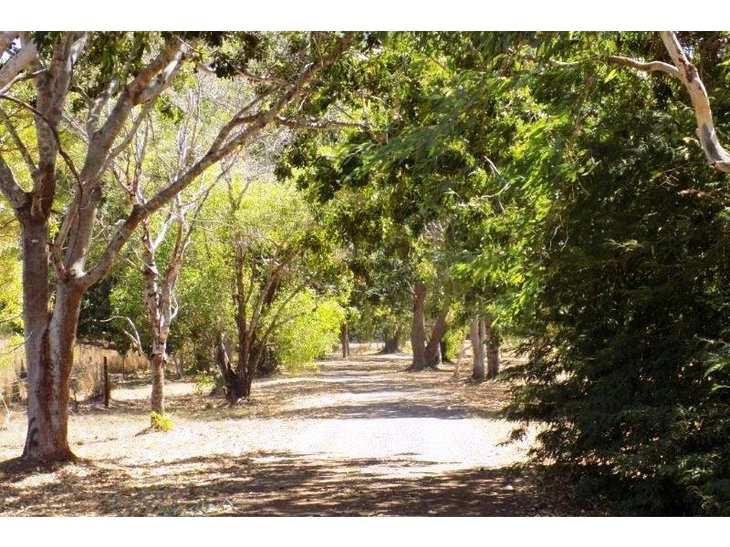 Acacia Hills NT 0822