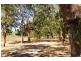 Acacia Hills NT 0822