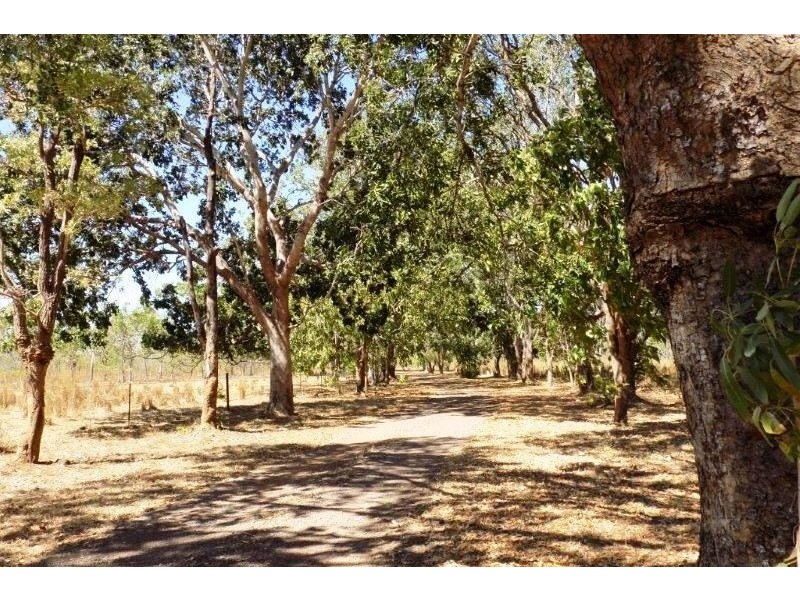 Acacia Hills NT 0822