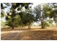 Acacia Hills NT 0822