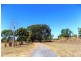 Acacia Hills NT 0822