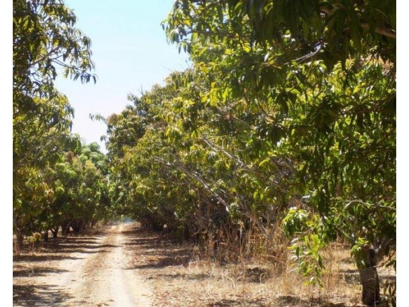 2300 Arnhem Highway, Marrakai NT 0822
