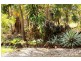 50 Guys Creek Road, Acacia Hills NT 0822