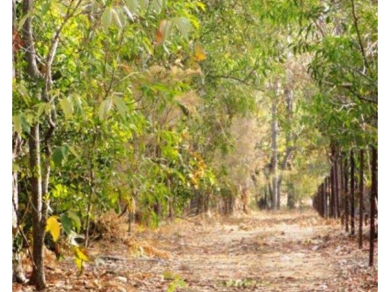 1340 Cox Peninsula Road, Berry Springs NT 0838