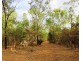 1340 Cox Peninsula Road, Berry Springs NT 0838