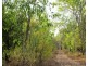 1340 Cox Peninsula Road, Berry Springs NT 0838
