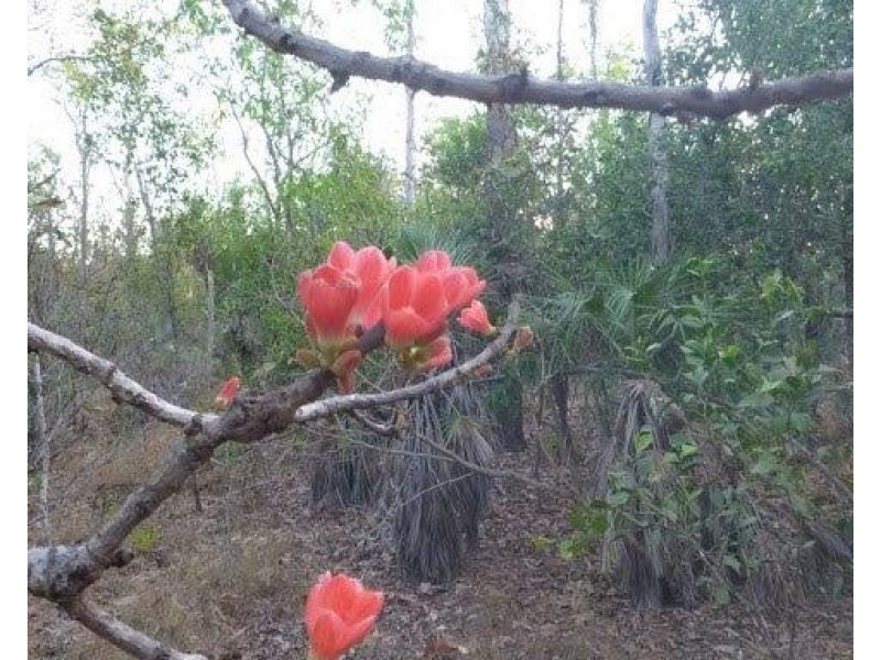 1340 Cox Peninsula Road, Berry Springs NT 0838