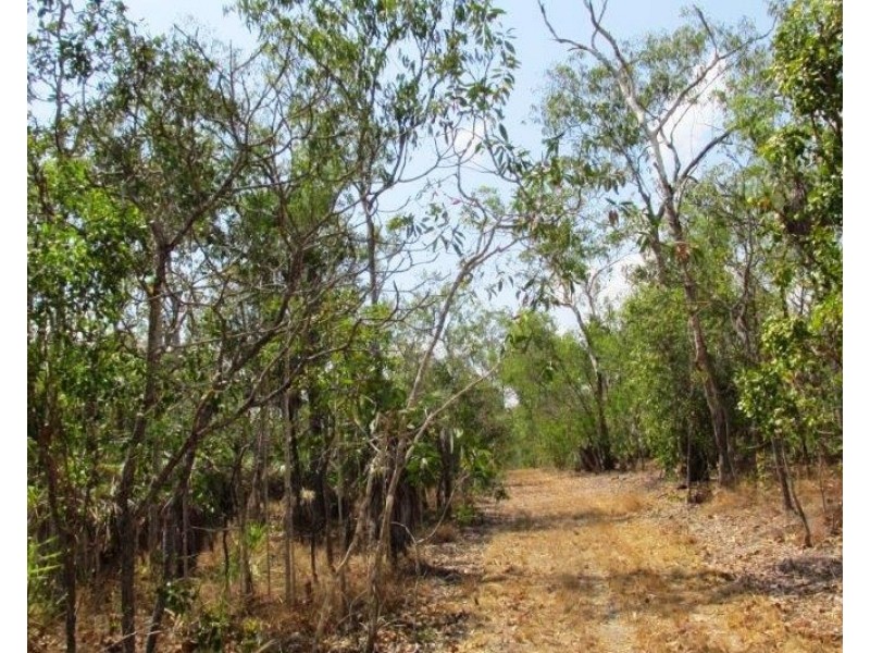 2909 Dundee Road, Dundee Downs NT 0840