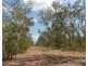 2909 Dundee Road, Dundee Downs NT 0840
