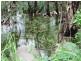 Lot 6,  Parkin Road, Fly Creek NT 0822