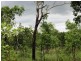 Lot 6,  Parkin Road, Fly Creek NT 0822