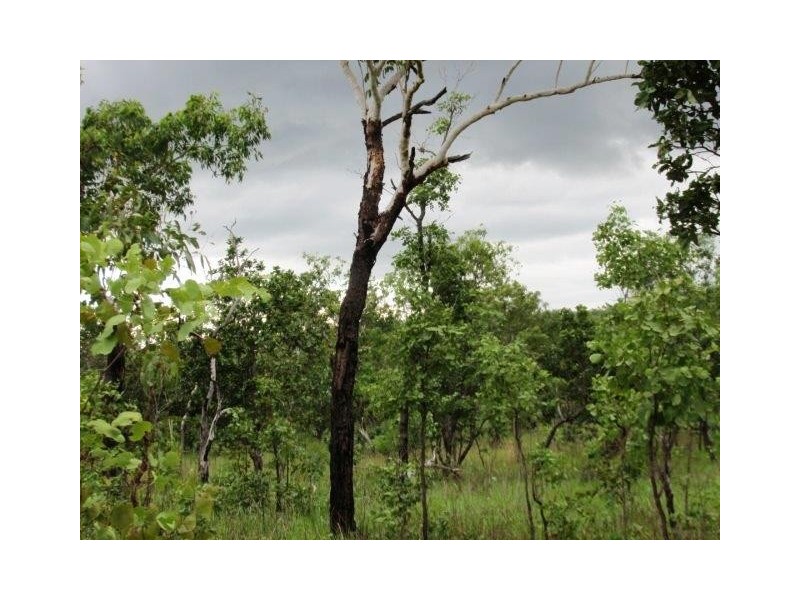 Lot 6,  Parkin Road, Fly Creek NT 0822