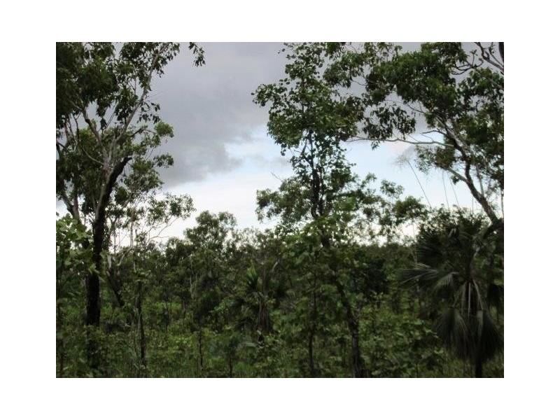 Lot 6,  Parkin Road, Fly Creek NT 0822