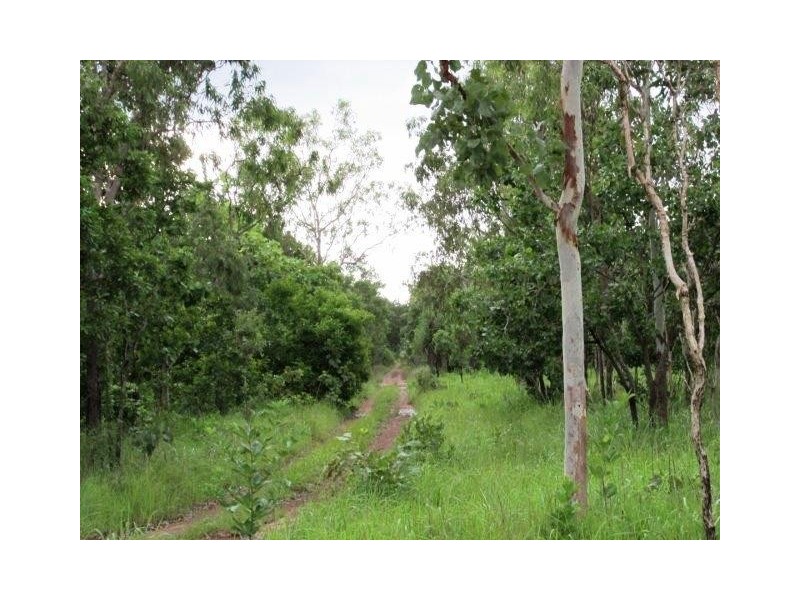 Lot 6,  Parkin Road, Fly Creek NT 0822