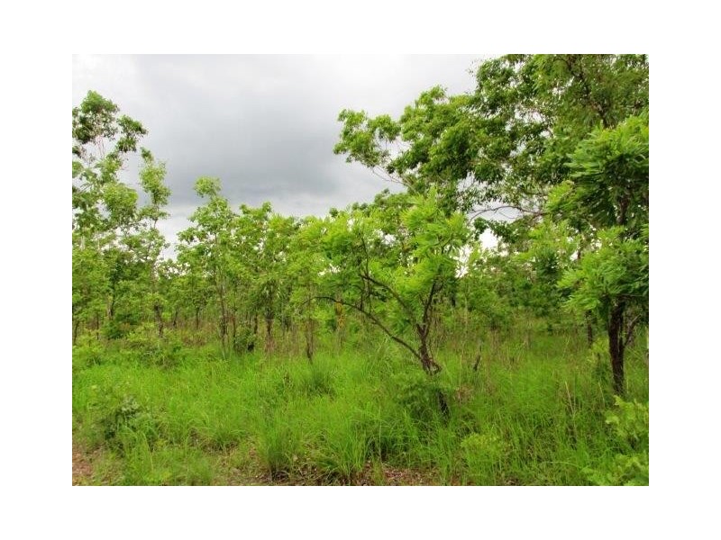 Lot 6,  Parkin Road, Fly Creek NT 0822