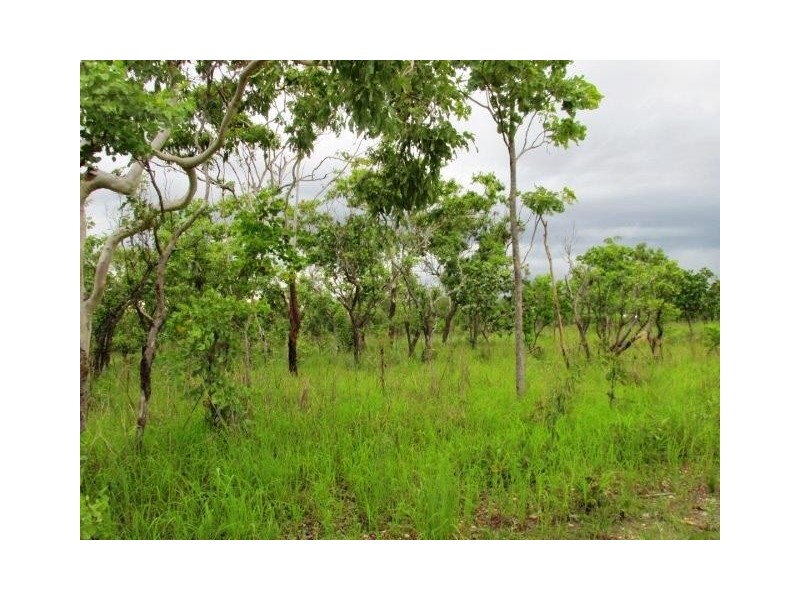 Lot 6,  Parkin Road, Fly Creek NT 0822