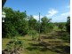 1315 Leonino Road, Darwin River NT 0841
